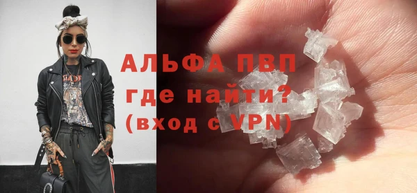 индика Ельня