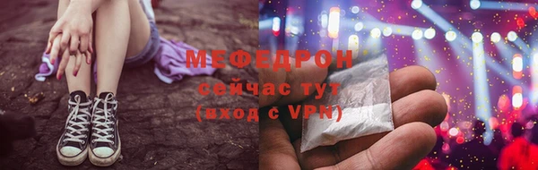 индика Ельня