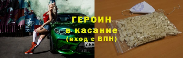 индика Ельня