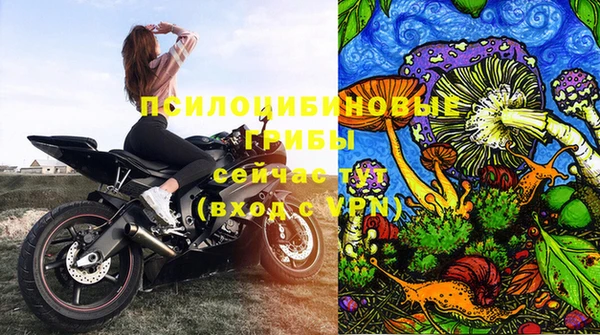 PSILOCYBIN Елабуга