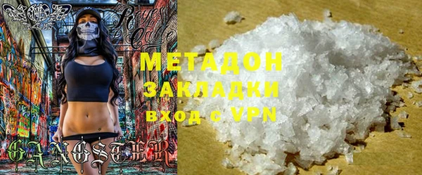 индика Ельня