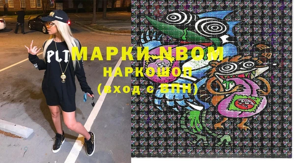индика Ельня