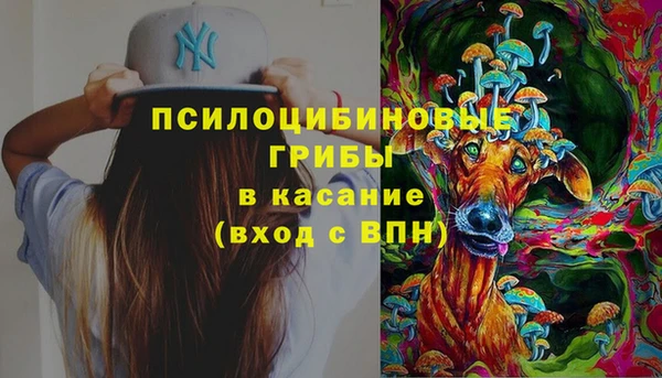 PSILOCYBIN Елабуга