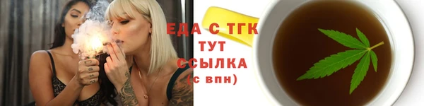 индика Ельня