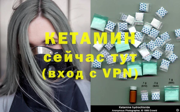 индика Ельня