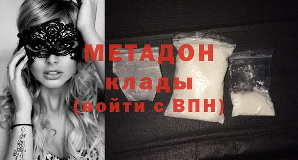 индика Ельня