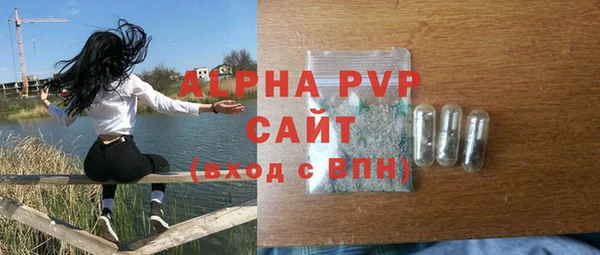 индика Ельня