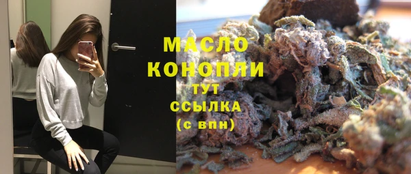 индика Ельня