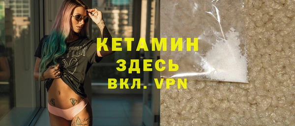 индика Ельня