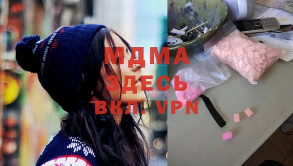 индика Ельня