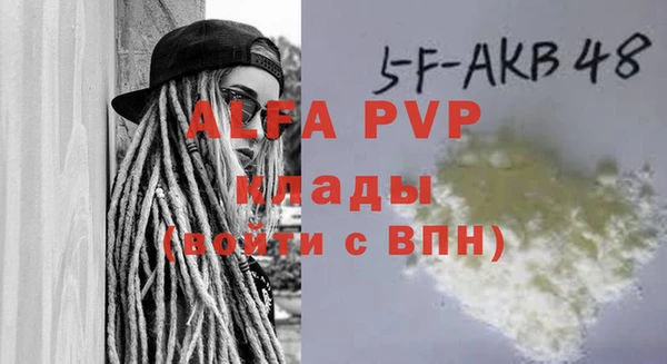 индика Ельня