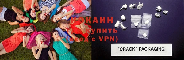 индика Ельня