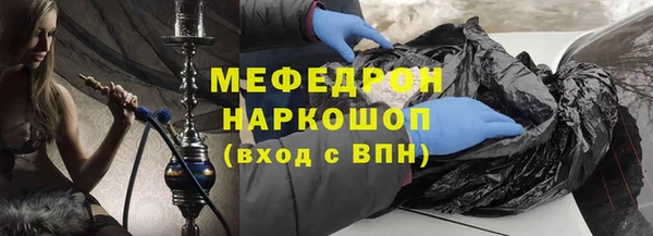 индика Ельня