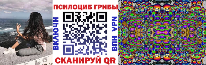 Псилоцибиновые грибы Psilocybine cubensis Разумное